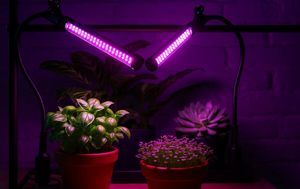 Why do indoor plants need grow lights