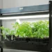 Can Any LED Light Be Used as a Grow Light?