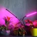 What Makes LED Grow Lights Better Than Traditional Lighting