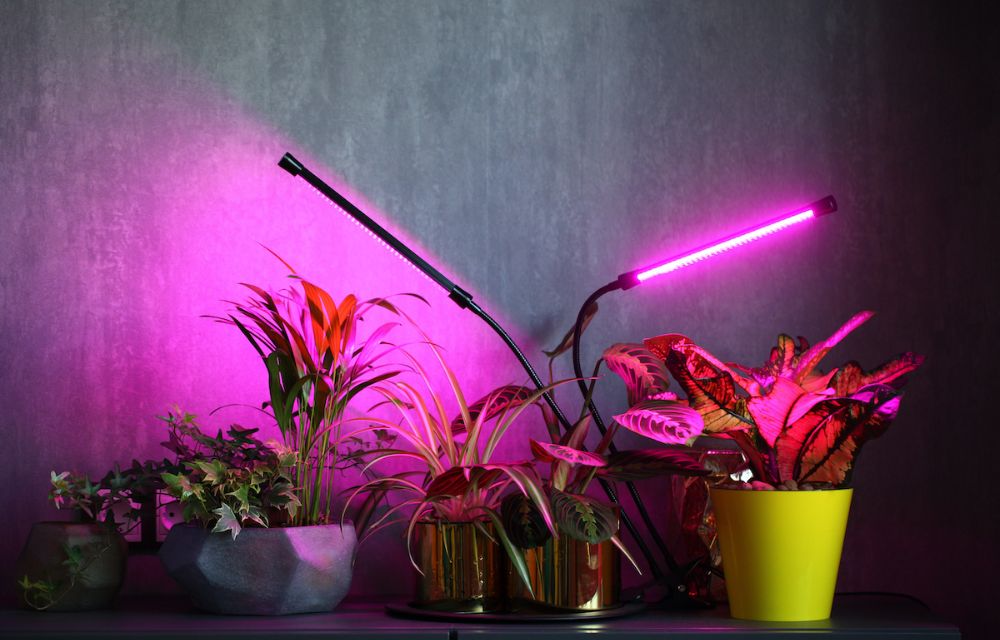 What Makes LED Grow Lights Better Than Traditional Lighting?