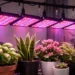 How to Choose the Best LED Grow Lights for Plants
